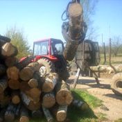 medienos gamyba